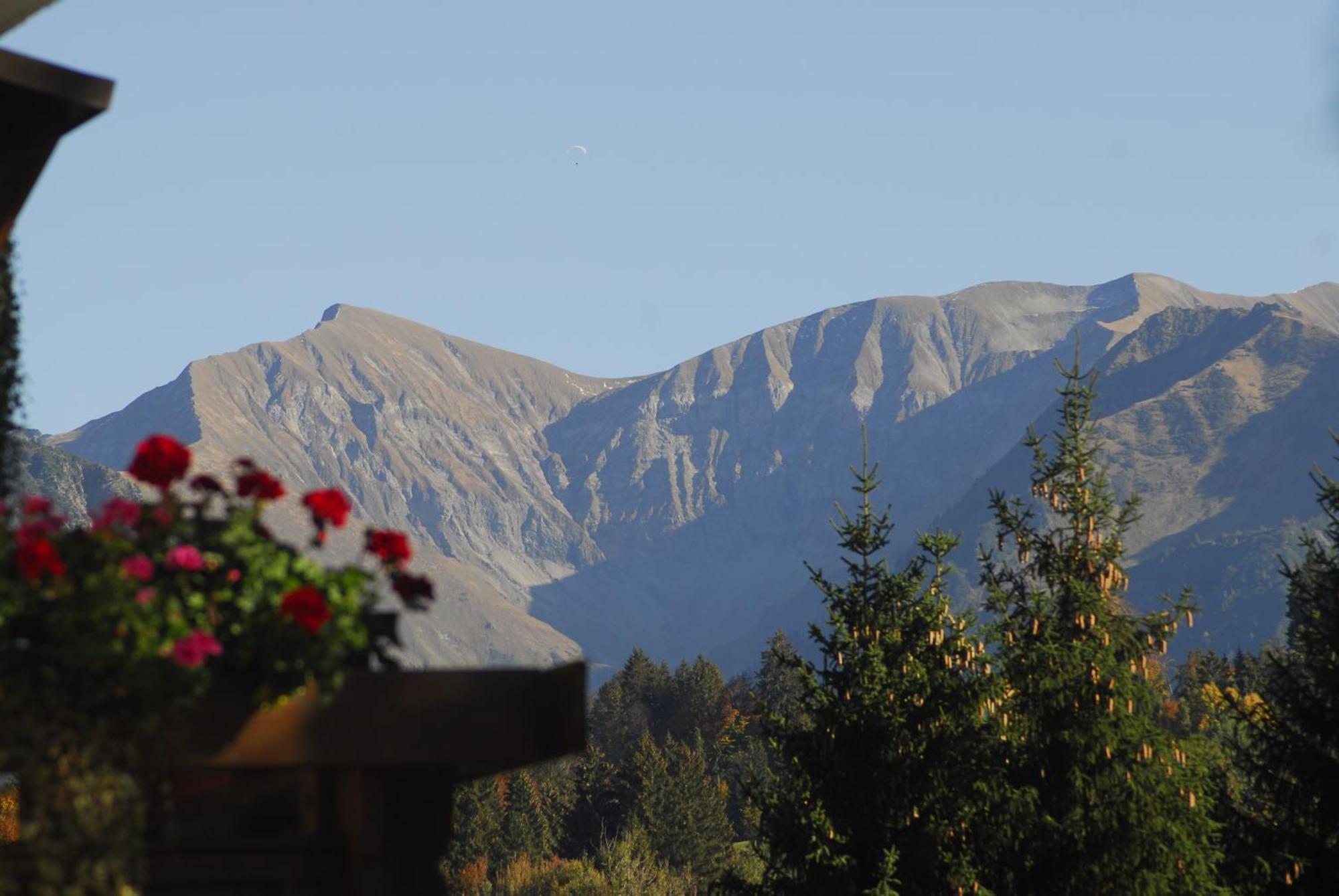 Apartment Winkelhof Oberstdorf